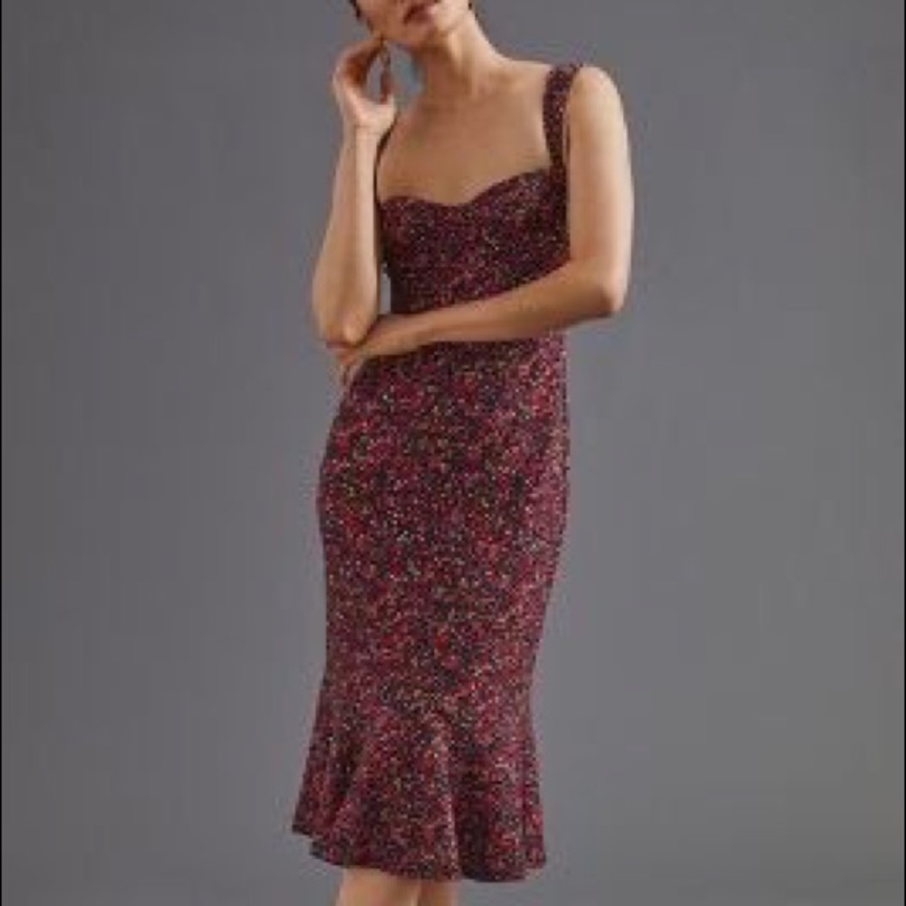 Anthropologie Hutch Sweetheart Midi Dress NWT XS